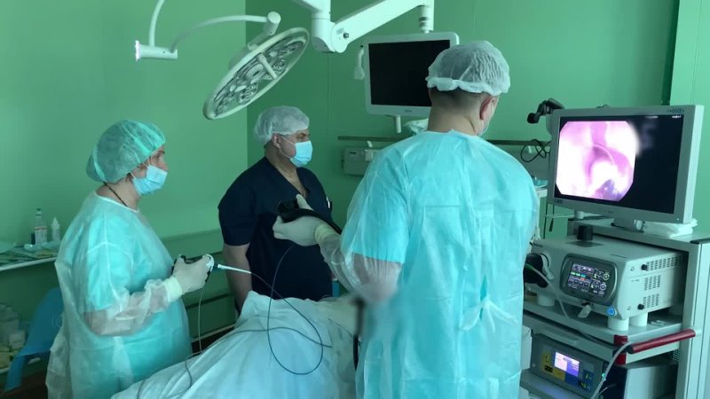 Видео превью 84038